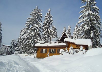 15723457_1702220203426004_866590849794023024_o