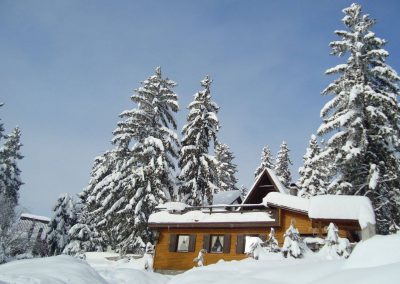 15776818_1702220383425986_3191006935510112193_o